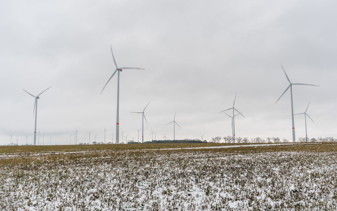 Antrag auf Verbot von Windrädern im Wald abgelehnt & weitere Erkenntnisse für Bernau und den Barnim bezüglich Windrädern