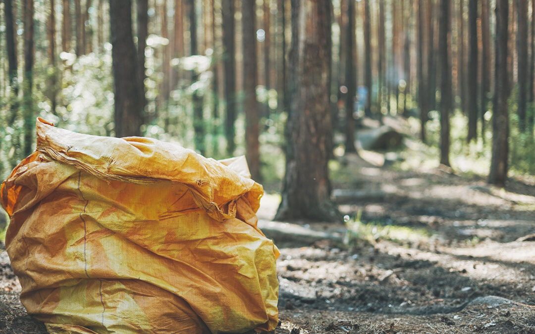 Illegale Entsorgung: Immer mehr Asbest in unseren Wäldern!