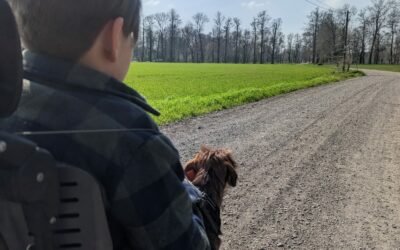 Gesetz macht behinderten Schülern das Leben schwer – wir setzen uns ein!